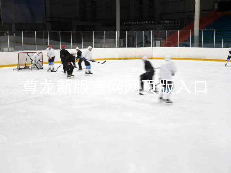 尊龙新版官网网页版入口