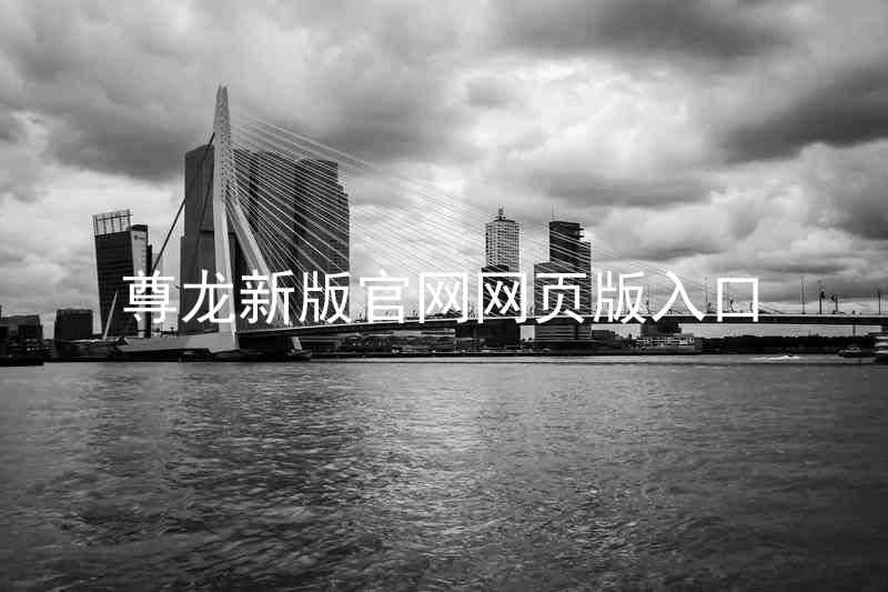 尊龙新版官网网页版入口