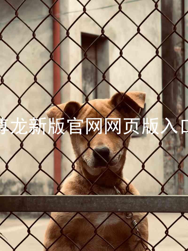 尊龙新版官网网页版入口