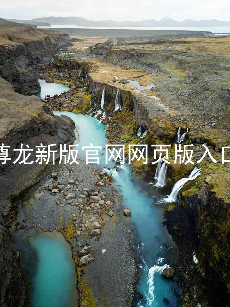 尊龙新版官网网页版入口